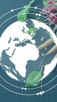 Vertical video: Faint blur lifting, white globe forming, rotating with rings, showing food map