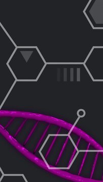 Vertical video: On loop magenta helix moving and twisting, connector sliding to show molecular UI