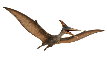 Fototapeta premium Pterosaur flying