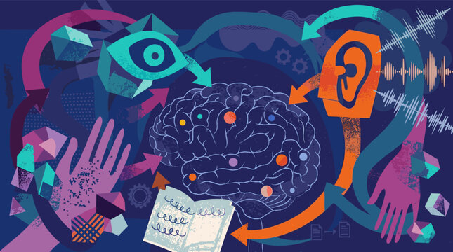 A detailed brain illustration surrounded by sensory symbols like eyes ears and hands with arrows showing how the mind processes information