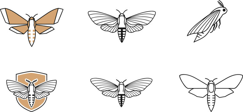 Minimalist silkworm moth icon set with clean line art outlines flat shapes and shield emblems vector illustration