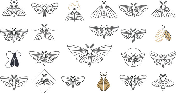 Moth line art icon set with various butterfly species cocoon and minimalist geometric frames vector illustration