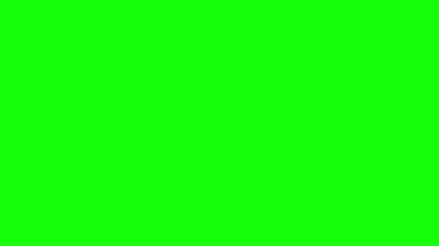 Animated rectangular "accepted" stamp with a checkmark on a bright green screen, indicating successful approval.