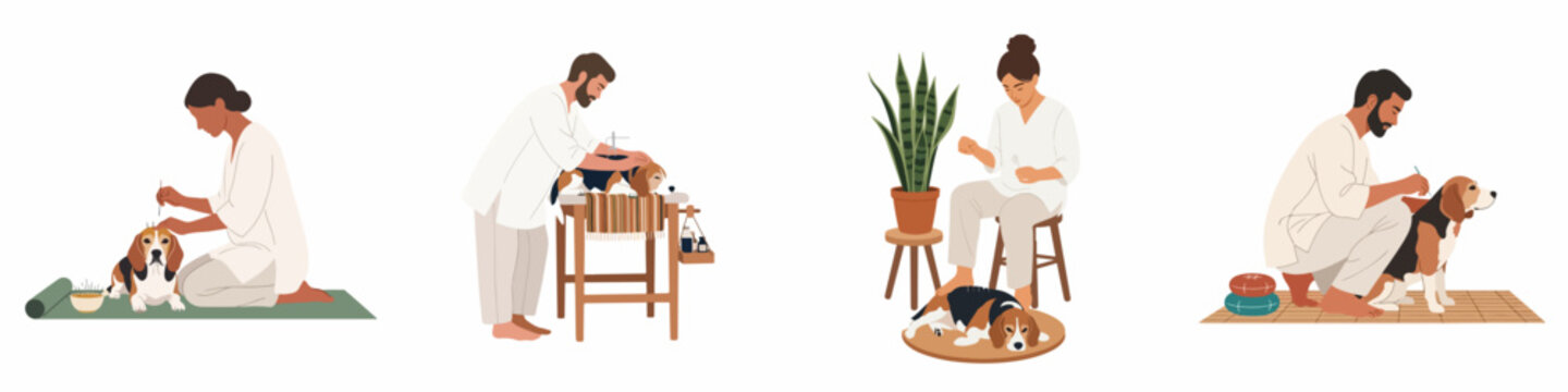 Illustration set of practitioners performing acupuncture on beagle dogs in different settings, focusing on holistic pet wellness and alternative veterinary care.