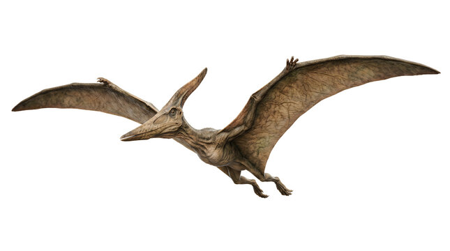 Pterosaur flying in prehistoric sky with wings spread