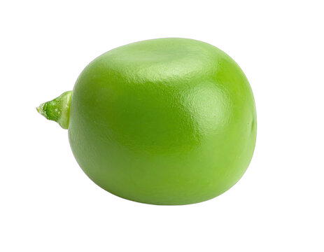 A single green pea isolated on a black background.