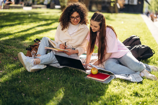 Two female students with curly and straight hair studying together on green grass, surrounded by notebooks and a laptop in a sunny outdoor park setting
