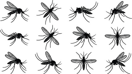 Mosquito silhouette collection with flying insect poses, pest control and bug vector illustration set © NURUL