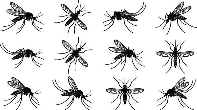 Mosquito silhouette collection with flying insect poses, pest control and bug vector illustration set