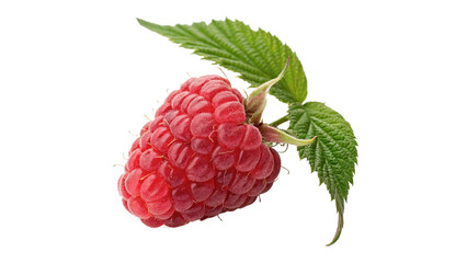 Single fresh sweet red raspberry fruit with a green leaf and juicy organic berry texture on transparent background © Ivanka