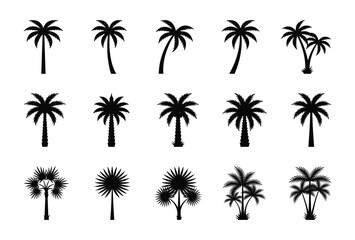 Fototapeta premium Tropical Palm Tree Silhouettes Bundle, Flat Vector Botanical Set for Travel, Resort and Summer Branding