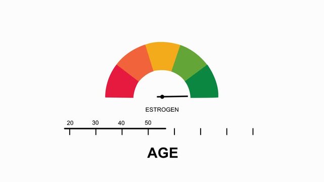 Estrogen level gauge with age scale on white background. Estrogen level gauge hormone meter. Professional estrogen level gauge for medical health analysis and biology science animation.