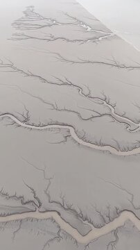 Stunning aerial view of natural tidal gullies forming earth tree patterns on the muddy flats of the Qiantang River in China.