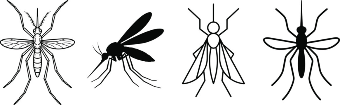 Set of mosquito vector illustrations including detailed line art and solid black silhouettes for pest control and health awareness