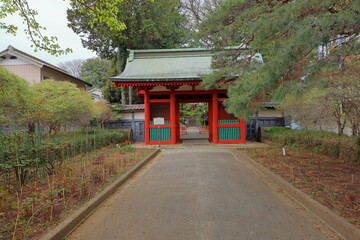 Fototapeta premium Semba Tosho-gu, a Shinto shrine near Kita-in in Kawagoe, Saitama, Japan