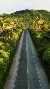 Cinematic aerial view of Siargao Coconut Road &ndash; Endless tropical palm tree forest with scenic road trip landscape in Surigao del Norte, Philippines