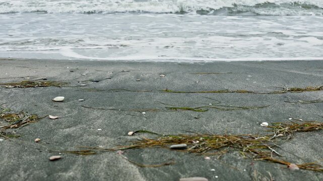 Waves roll onto the shoreline at a beach. Sand is mixed with shells and bits of seaweed. The ocean appears gray under a cloudy sky.