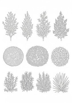 Set of Hand Drawn Vector Line Art Illustrations of Various Garden Plants, Bushes, and Shru