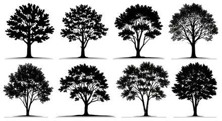 Fototapeta premium Diverse Tree Silhouettes Collection, Vector Art, White Background