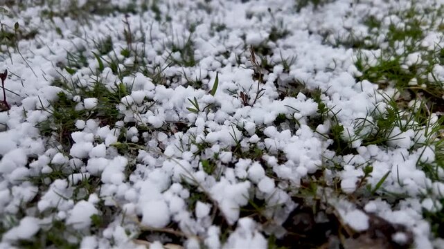 Gros plan sur des gr&ecirc;lons qui tombent dans l'herbe dans un jardin. Boules de glace apr&egrave;s un orage de printemps. La gr&ecirc;le est une forme de pr&eacute;cipitation solide. Une temp&ecirc;te de gr&ecirc;le en France.