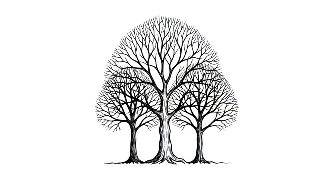 Bare Tree Branches Silhouette on White Background - Artistic Natural Pattern