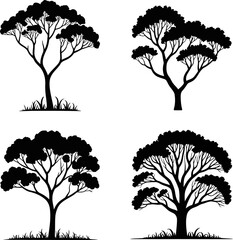 Vector bold line silhouette illustration style for an Australian tree © MD