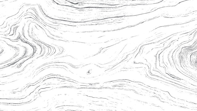Hand Drawn Seamless Pattern with Fresh Imperfect Brushstroke Ink Textures