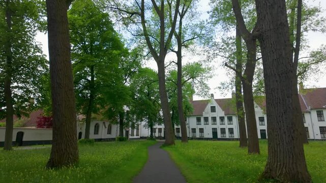Beguinage Ten Wijngaerde Pathway with White Houses and Trees in Bruges Belgium