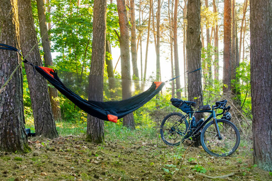 Camping with a hammock in the woods after cycling