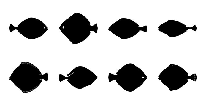 Black and White Fish Silhouette Pattern Featuring Flatfish and Flounder Species