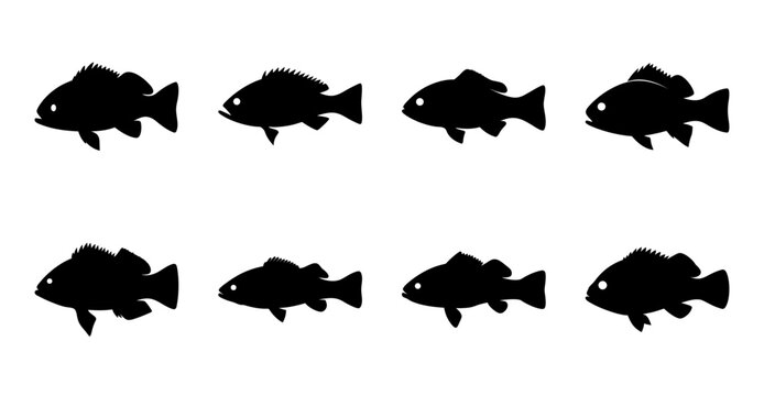Black silhouette illustration of group of eight fish on isolated background