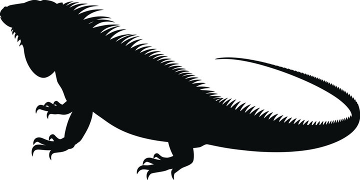 Black Iguana silhouette icon with detailed reptile shape, vector illustration for tropical wildlife and exotic animal themed design.