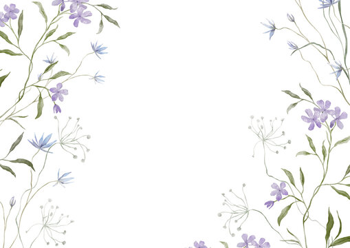 Horizontal Banner watercolor illustration with violet wildflower botanical cornflowers. Rectangular Frame with hand drawn illustration phlox and wild flowering umbels on isolated background