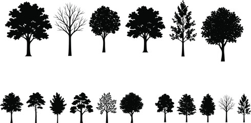 Fototapeta premium Tree Silhouette Set with Forest Trees, Bare Branches and Decorative Nature Vector Illustration Collection