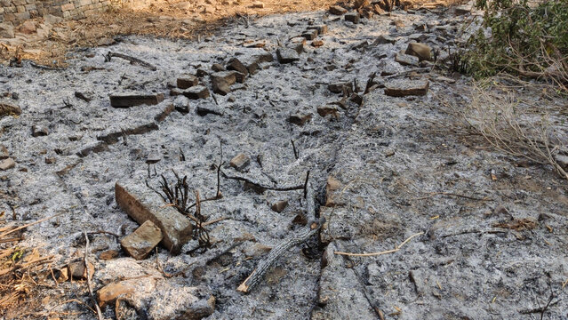 Wildfire ash covering dry ground after forest fire destruction