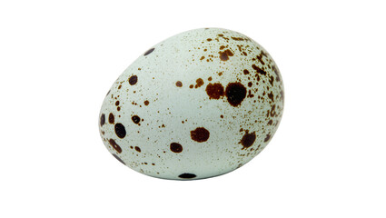 Speckled bird egg with brown spots, isolated on transparent background © Roxana