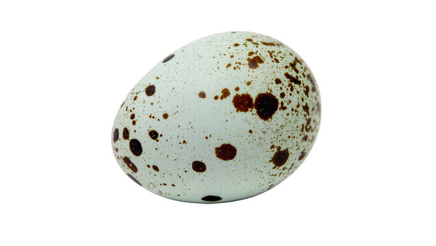 Speckled bird egg with brown spots, isolated on transparent background