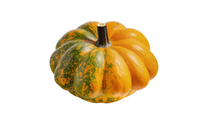 Orange and green acorn squash with dark stem, isolated on transparent background © Roxana