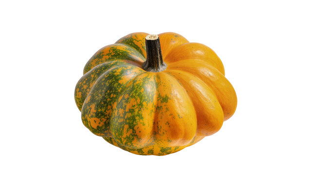 Orange and green acorn squash with dark stem, isolated on transparent background
