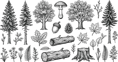 Collection of vintage forest and woodland elements including trees logs mushroom and autumn leaves for rustic nature and camping design © Arishfa