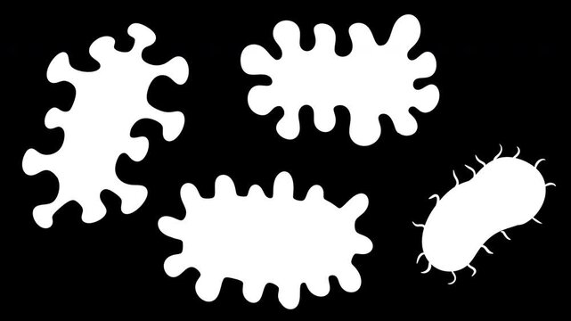 2d animation of four stylized cartoon microorganisms and pathogens, including bacillus with flagella and various irregular germ cells. 