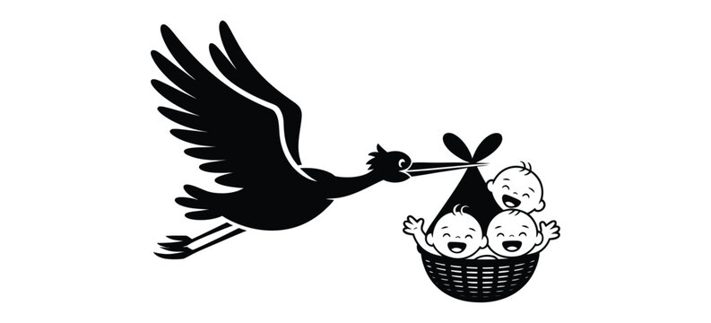 Flying stork Bringing newborn triplet babies in baskets, cute cartoon vector illustration for baby arrival, maternity and family celebration design.