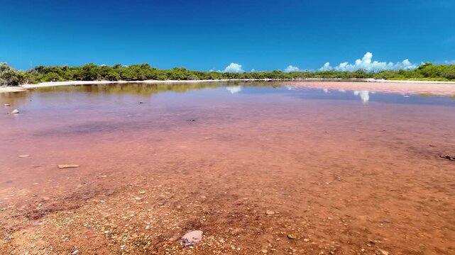 Pan right view of Laguna Rosada, Pink Salt Lagoon on Francisqui Island, Los Roques, Venezuela