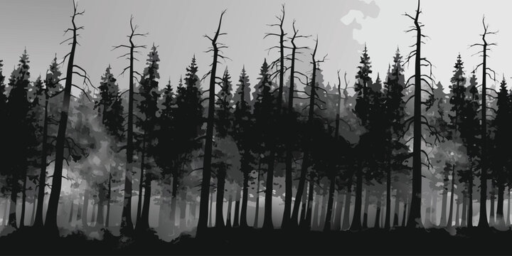 Dead Trees in Foggy Horror Forest Background Vector.