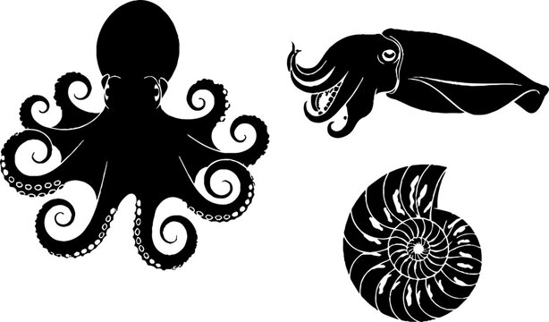 Stylized octopus silhouette with striped optical illusion background
