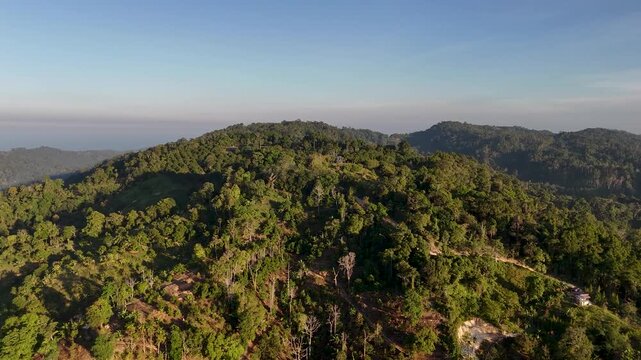 Fly over Koh Samui dense jungle on mountain on a nice day