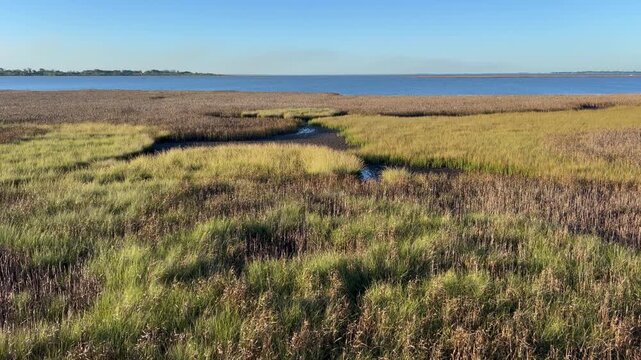 Static daytime view of marsh grasses and water channels on Ilha da Polvora with Lagoa dos Patos in the distance.