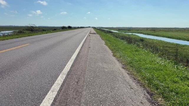 Tilt up from a dead capybara on the grassy verge to the paved road and open sky at Taim Ecological Reserve