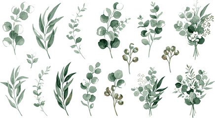 Collection of elegant watercolor eucalyptus branches and green leaf bouquets for minimalist wedding invitations and botanical home decor © Sanjina