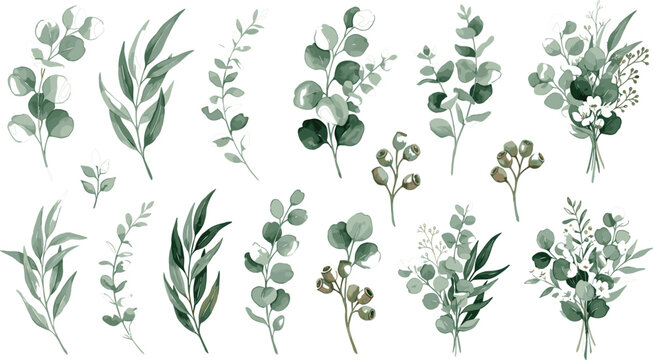 Collection of elegant watercolor eucalyptus branches and green leaf bouquets for minimalist wedding invitations and botanical home decor